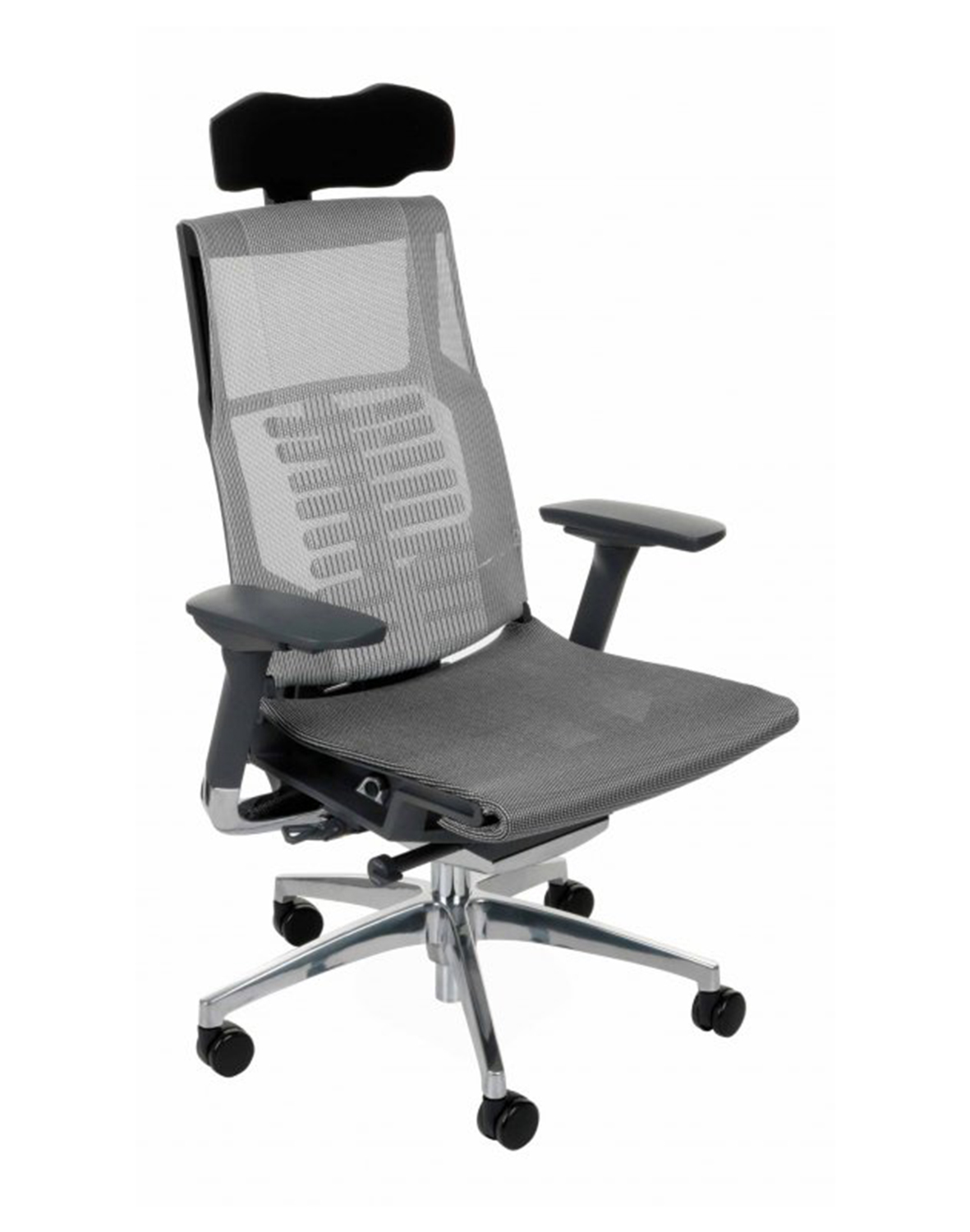 Pofit BS grey