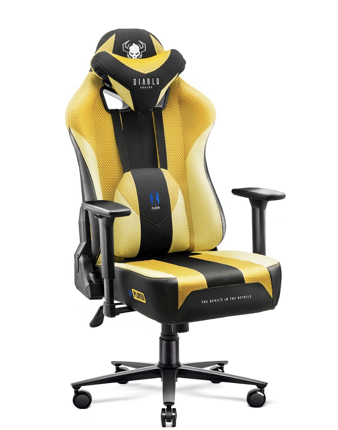 Diablo X-Player king Dark Sunflower