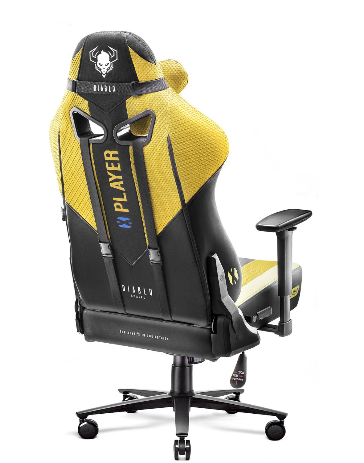 Diablo X-Player king Dark Sunflower