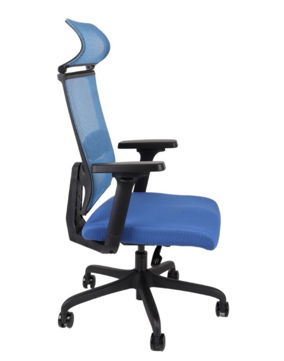 ergofix tm03 niebieski