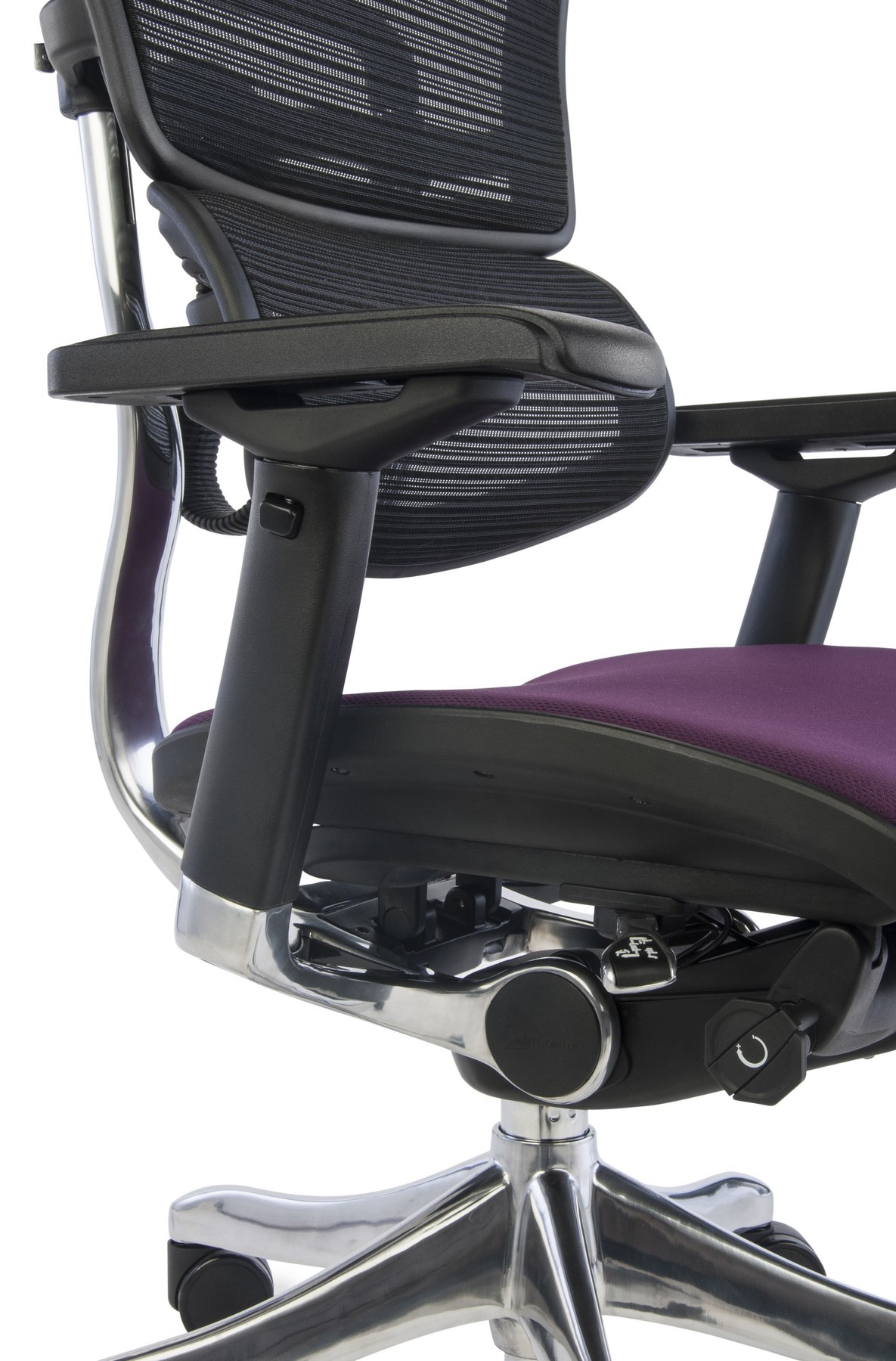 Ergohuman Plus Elite Color, Backrest: KMD 31, Seat: Flex FX10