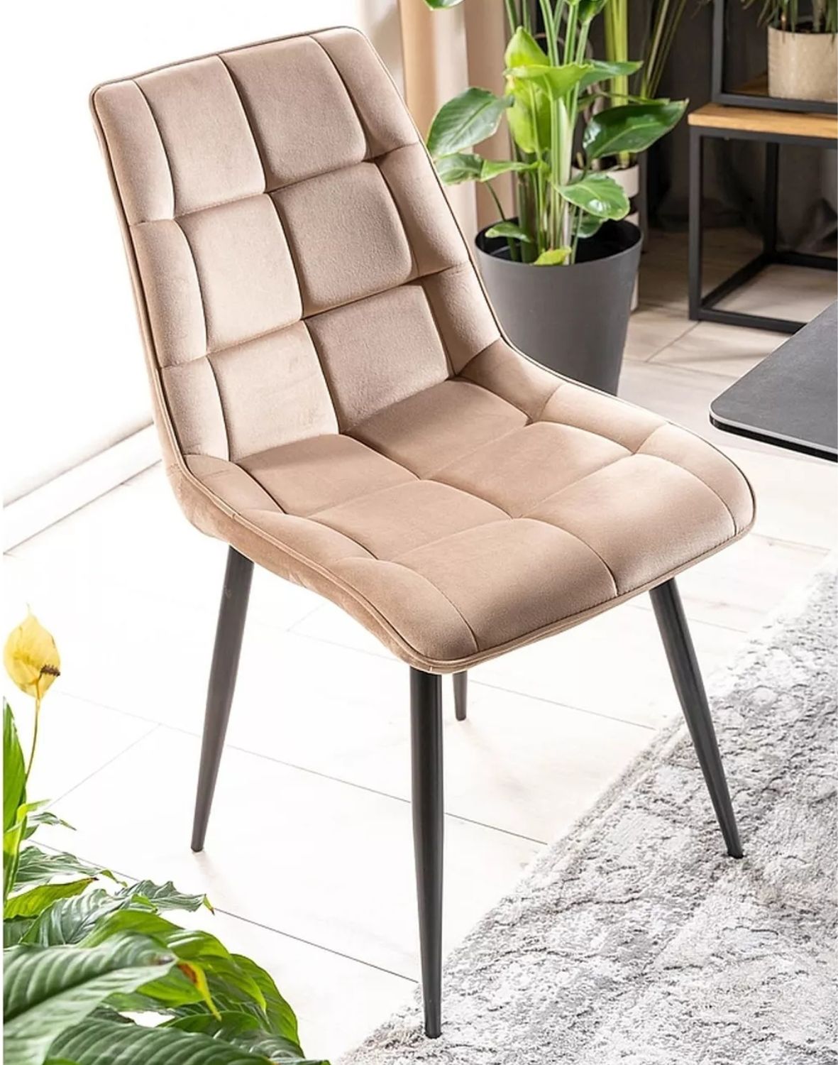 krzeslo  chic velvet bez czarny