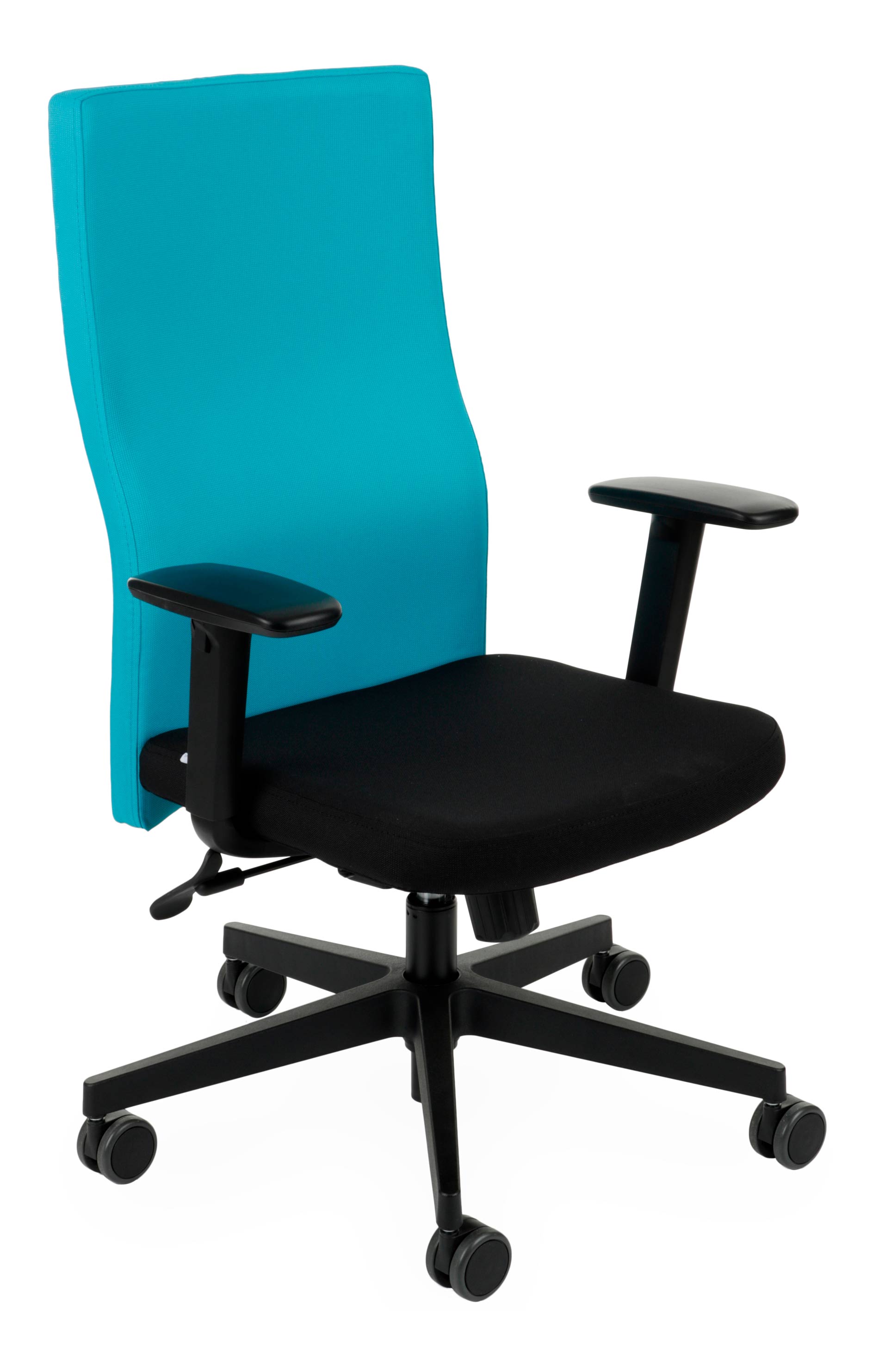 Team Plus black, Backrest: Note N10 Seat: Note N01