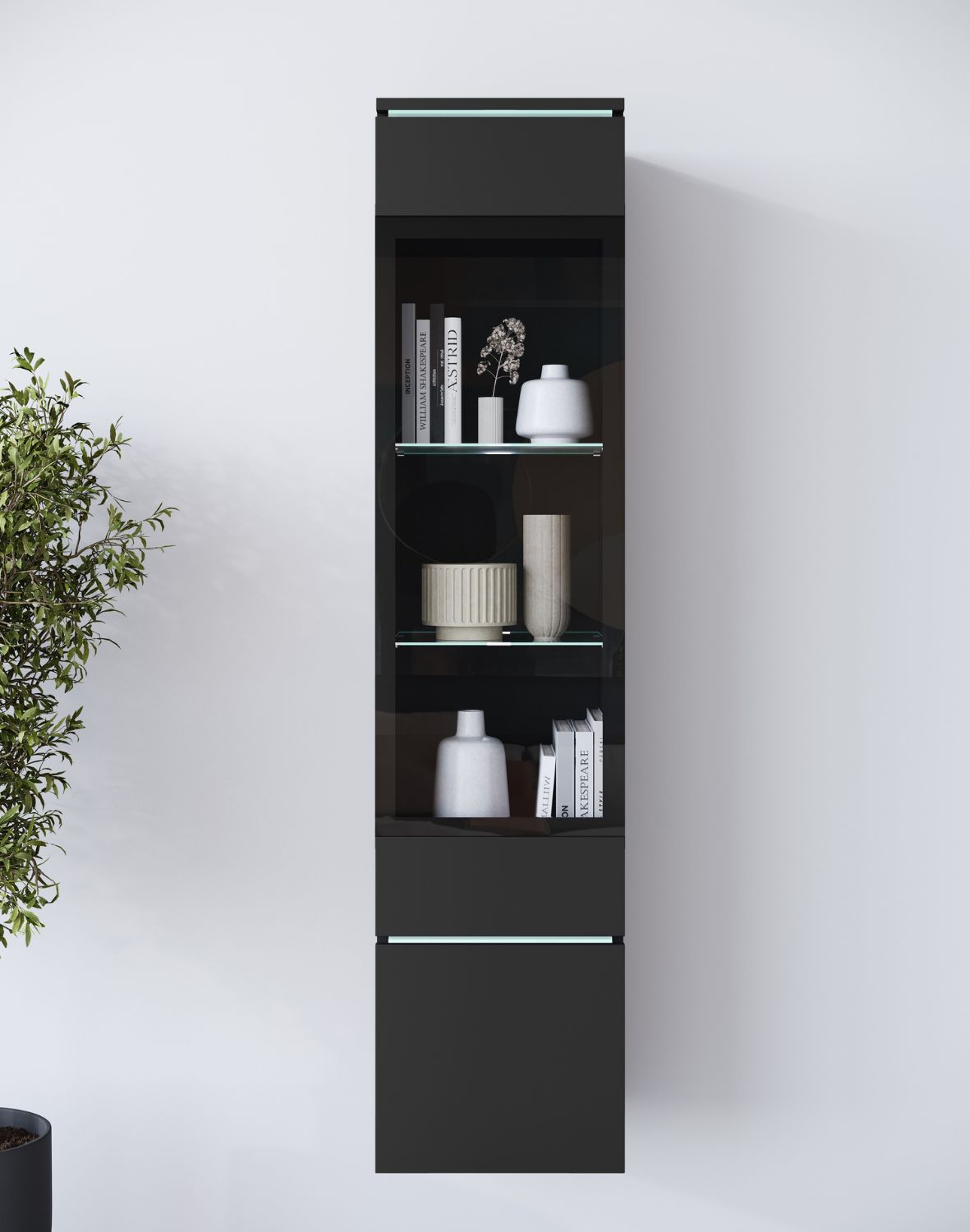 witryna-vera-002-czarna