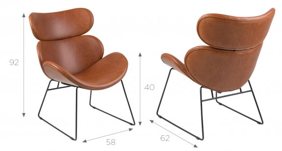 Fotel Cazar vintage