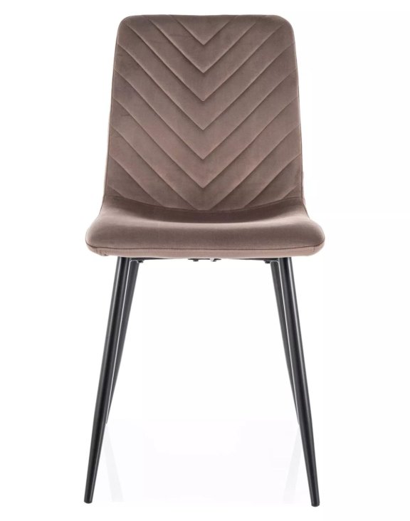 daren velvet cappuccino