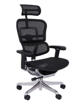Fotel Ergohuman 2 Elite ST BS Black