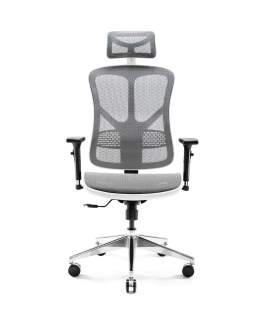 Fotel ergonomiczny Diablo V-Basic: biało-szary
