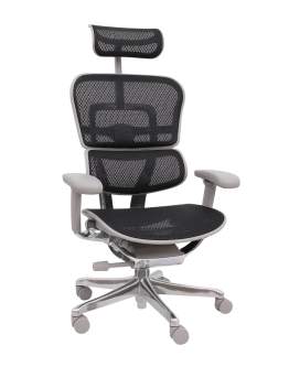 Fotel Ergohuman 2 Elite ST GS Black