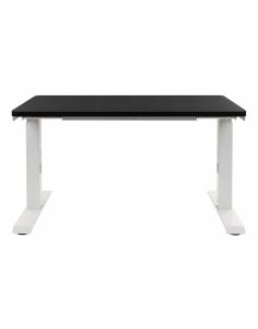 Biurko regulowane Alto 101 White 110x70 cm