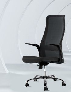 Bodo Black