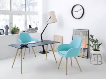 Fotel Fan 10HW wood