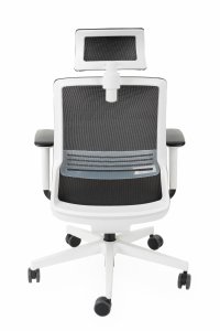 Coco WS HD white Synergy SR06