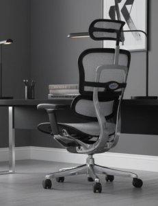 fotel ergohuman 2 elite st bs grey