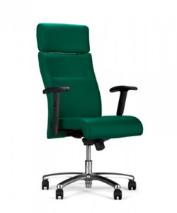 Fotel Neo Lux R