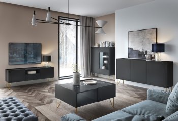 Szafka RTV Harmony 144