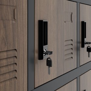 Szafka pracownicza skrytkowa 18-skrytkowa antracytowa/orzech, 900x1850x400 mm: KAROL Eco Design 3