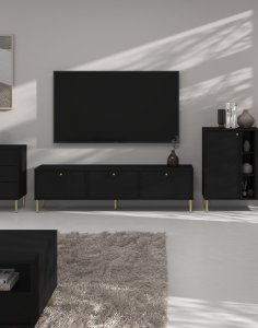 szafka rtv tokyo 2 typ 303